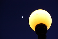 A street light and the moon
